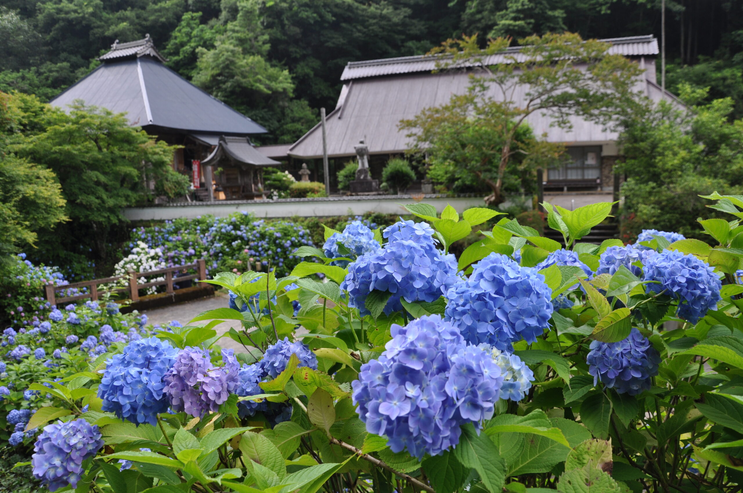 法隆寺東光院 旅遊景點 Another Kyoto Official Travel Guide