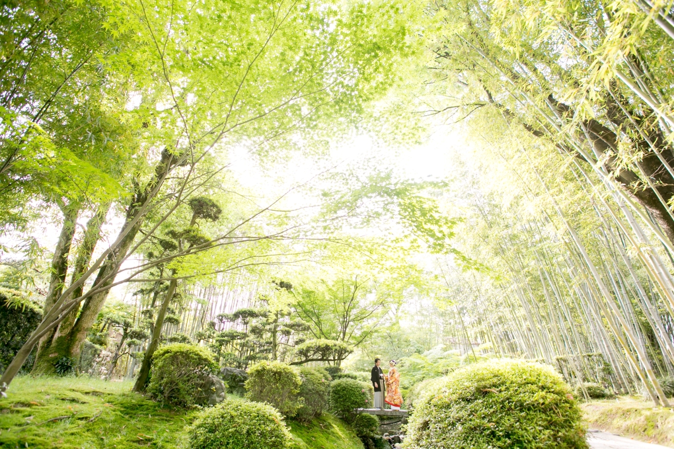 A couple on a rock bridge surrounded by the greenery of a bamboo forest