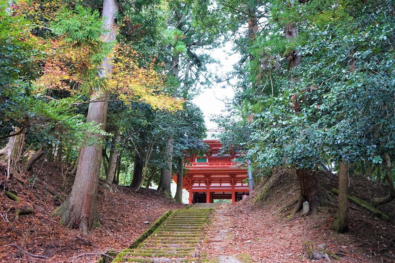 傳統工藝與絕景的寶庫 森之京都 10大必去景點 深度推薦 Another Kyoto