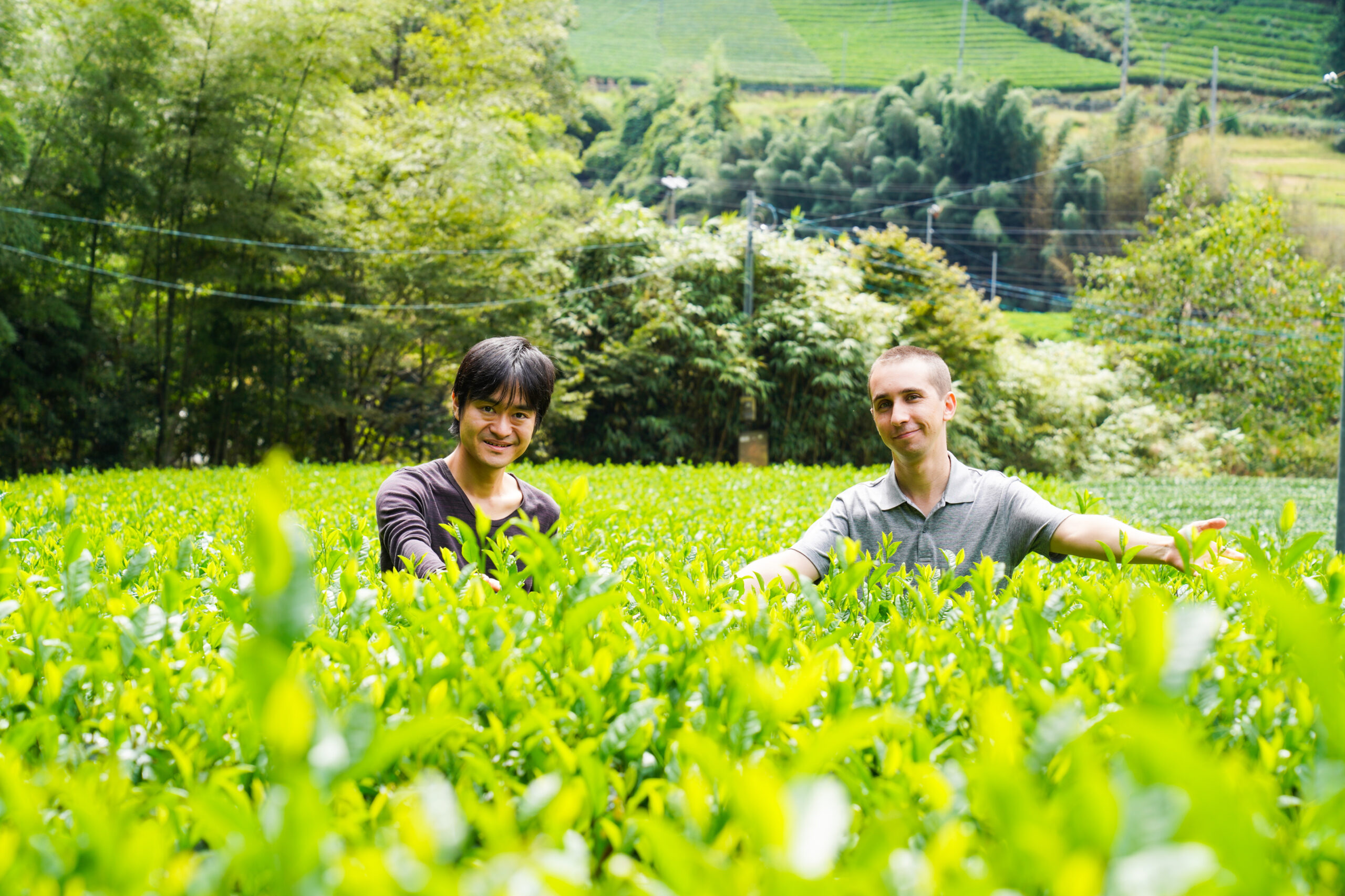 京都由五感開啟茶的感官體驗之旅| 深度推薦| Another Kyoto 官方旅遊