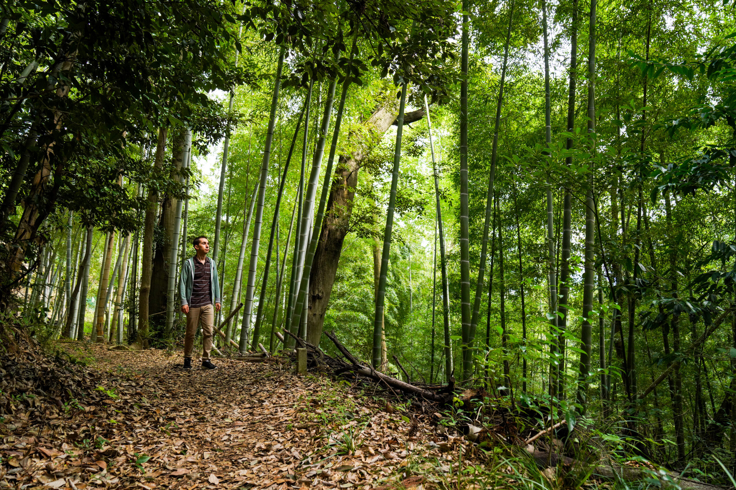 Mt. Tennozan A Historic Hike on the Edge of Kyoto Inspiration