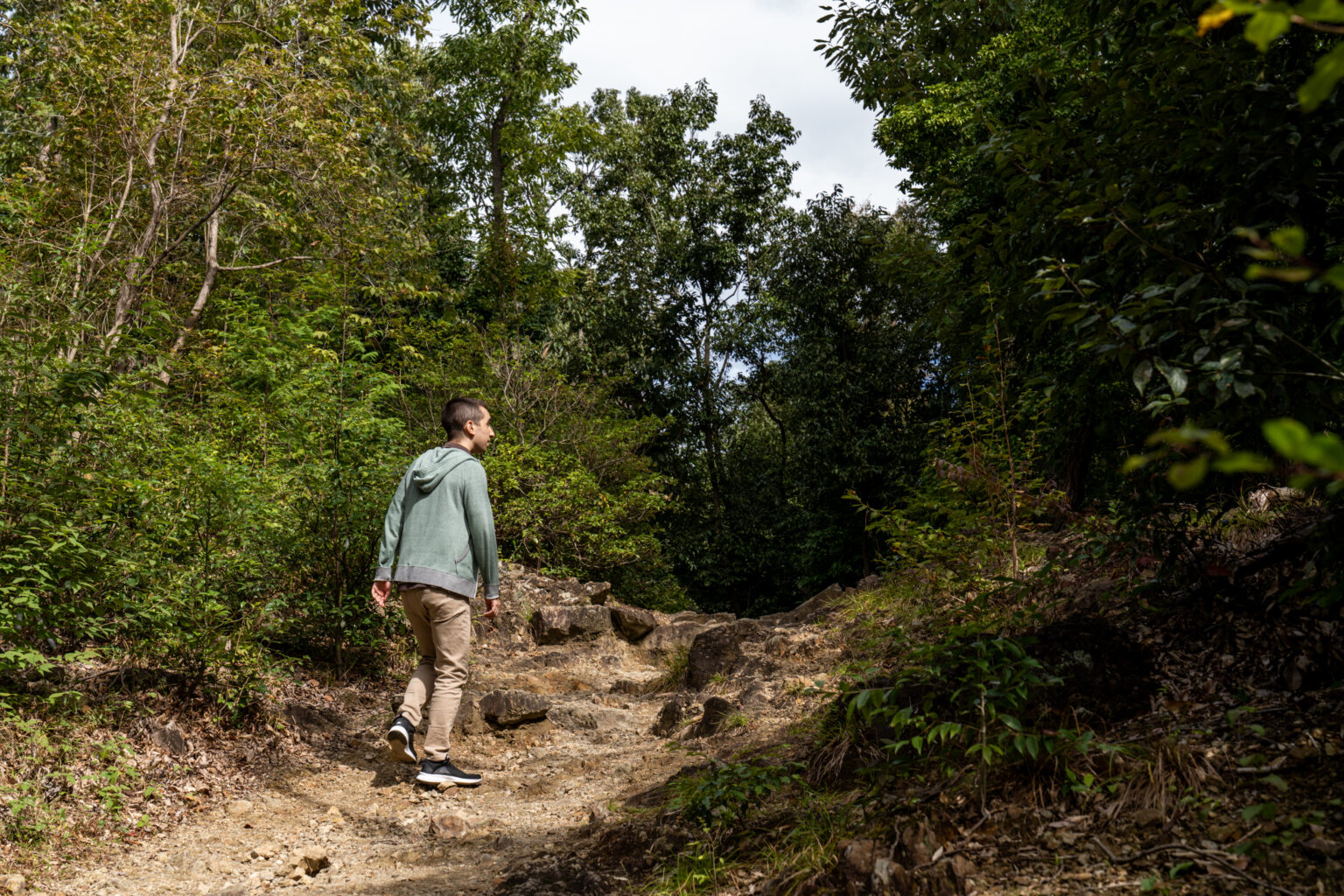 Person hiking a dirt trail surrounded by greenery