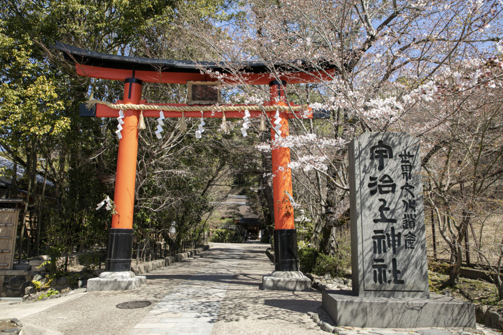 Pathway to Ujigami Shine bordered with lush greenery and cherry blossoms.