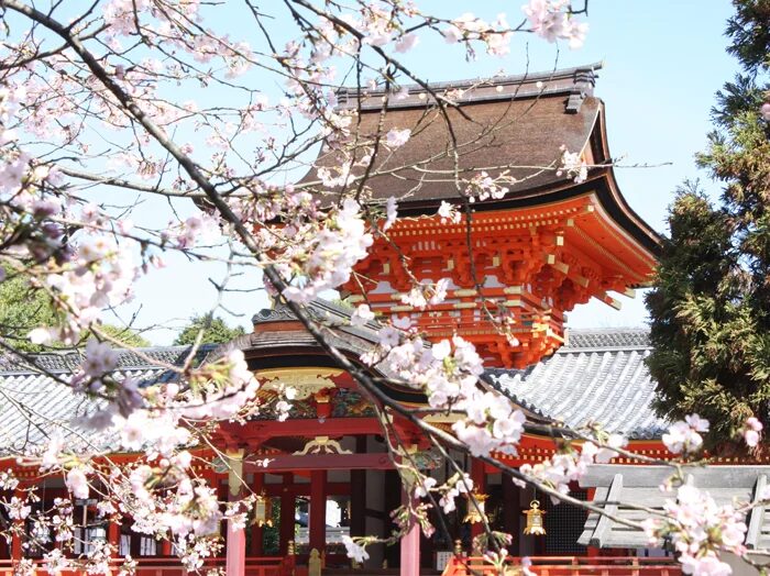 Iwashimizu Hachimangu Shrine