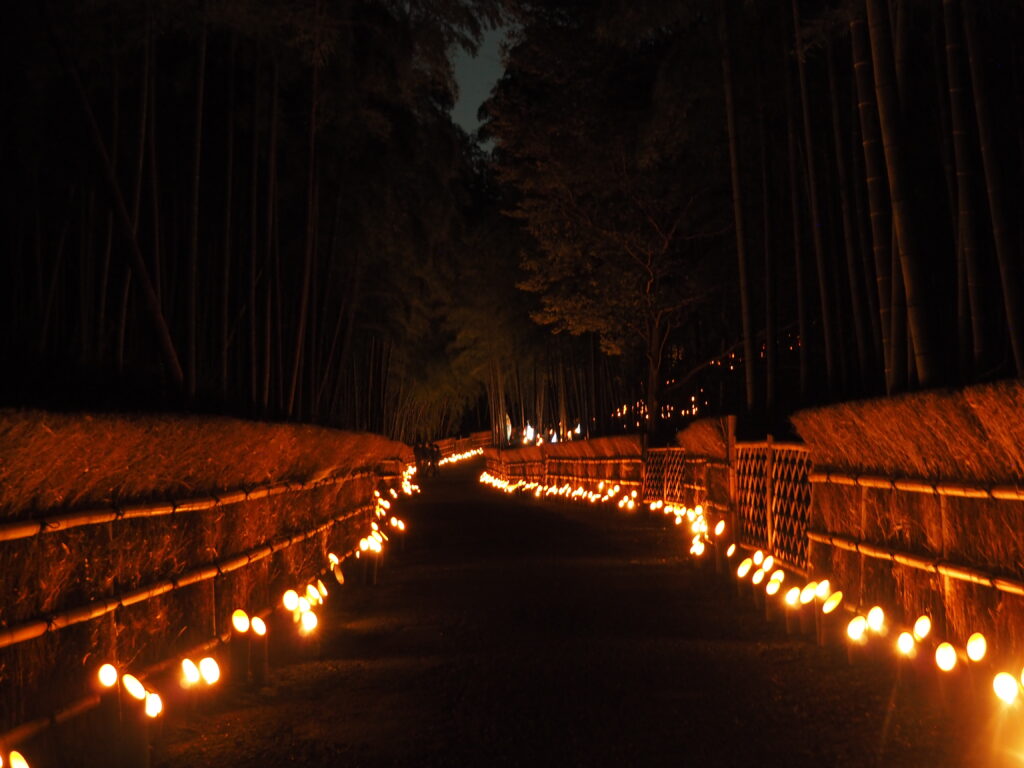 Visit the hometown of Princess Kaguya – Kaguya Evening Light-up event at the Bamboo Forest and Bamboo Path