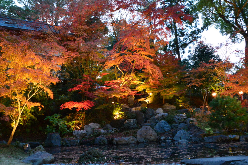 \Nagaoka Tenmangu Flower Lantern Path – The Autumnal Garden “Kinkeien” and Path to the Main Hall Illumination/