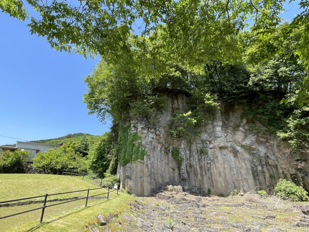 Basalt columns with greenery