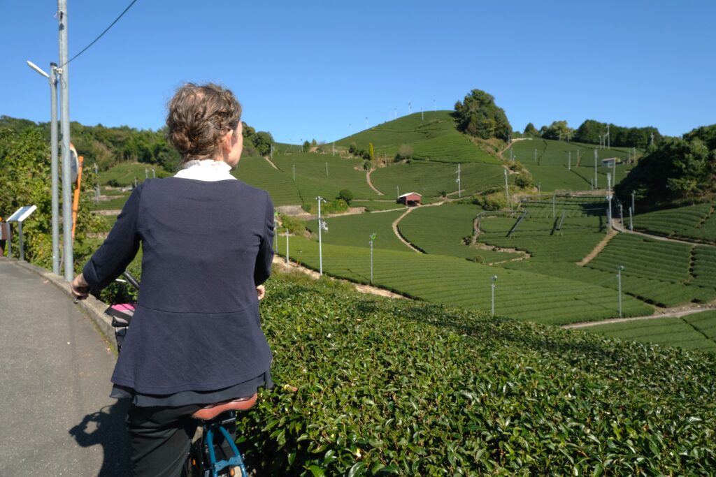 Close-up of a cyclist by tea plants