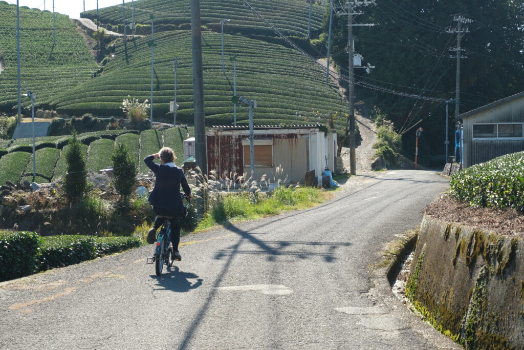 Cycling on a road by tea fields and houses