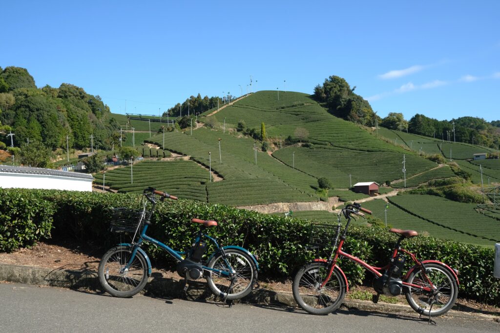 Bicycles in front of tea fields